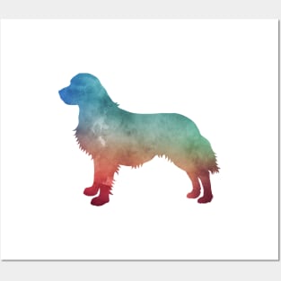 Golden Retriever Posters and Art